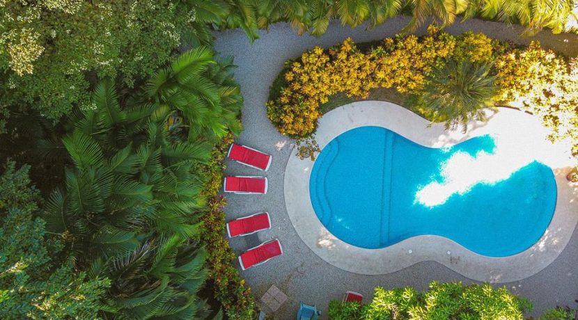 82344878_1506531666164806_2183654020025942016_o