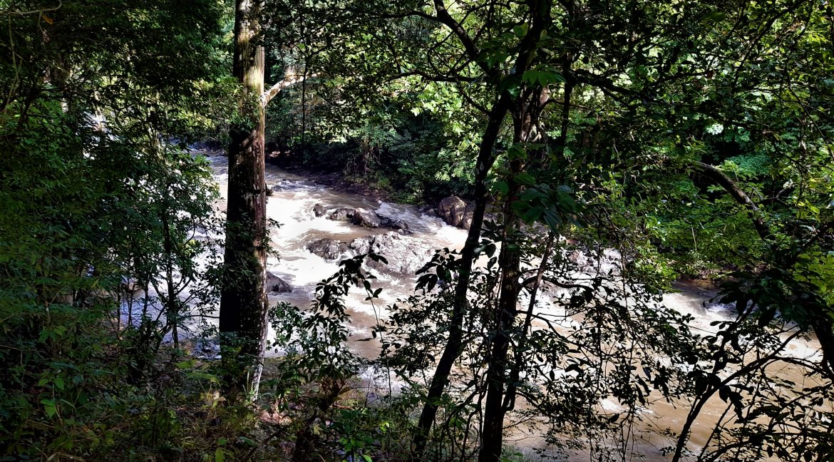 santa marta river top view