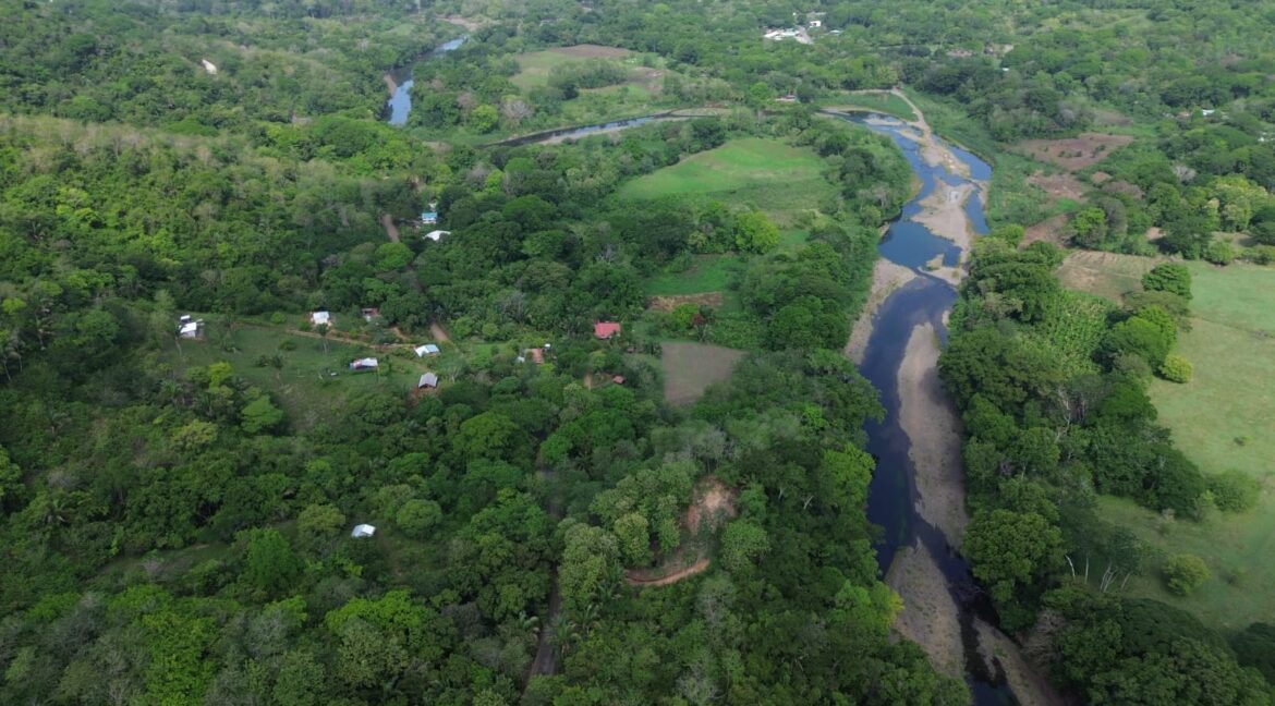 61b6b56a-592a-4e75-ab9a-441f8e975494