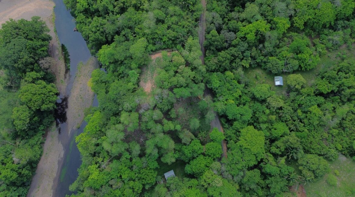 ec765367-8dcb-4248-8a80-695c37090205