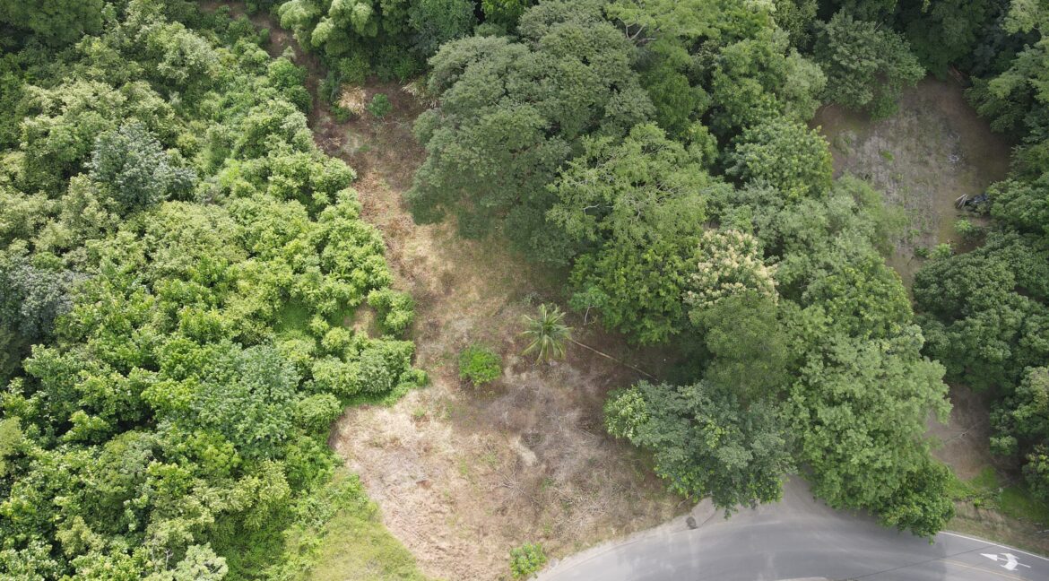 1d10bb95-0a09-4877-83c1-b4bbb3a9eedf