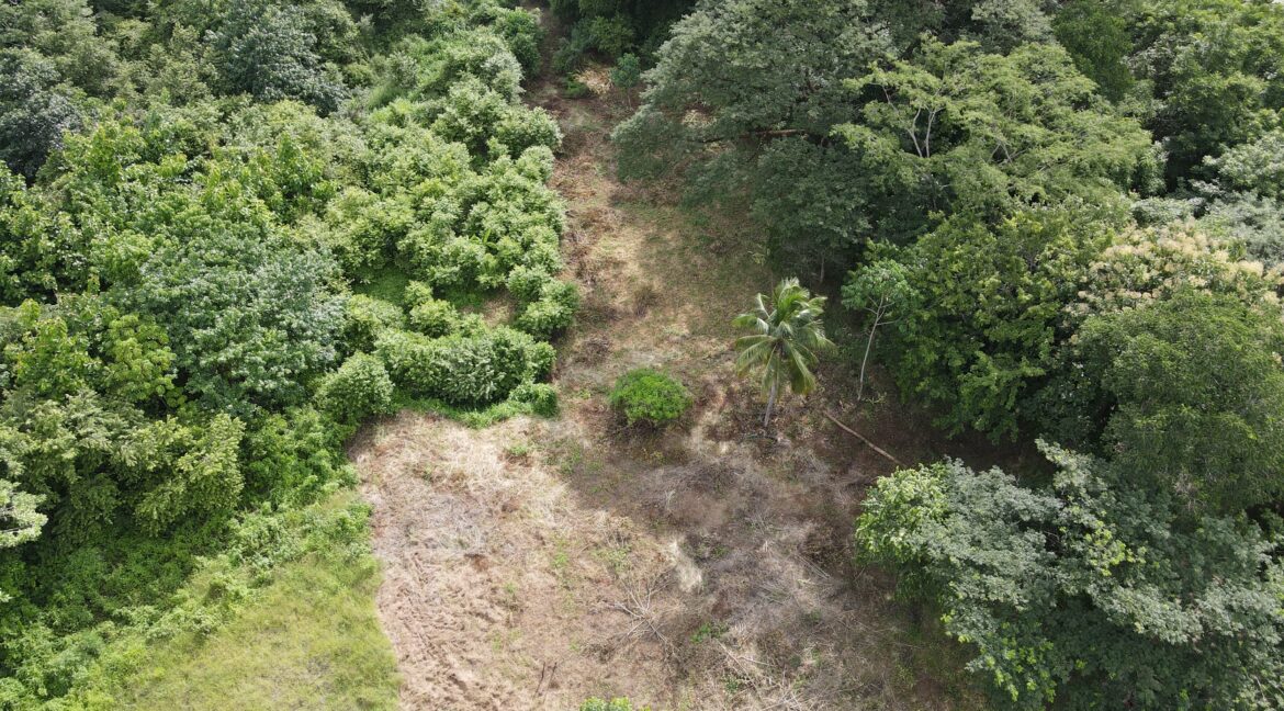 31ee1d06-7b36-42c3-84e5-ee1f952da515