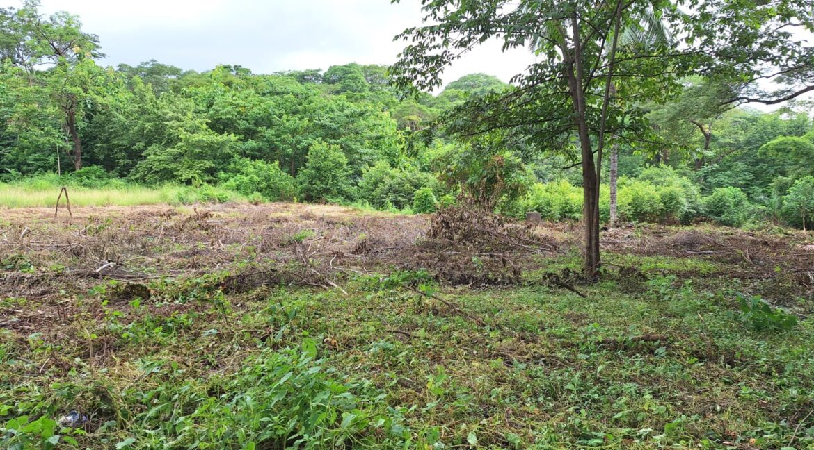 64386888-2337-49ad-a674-3f3f72cd4df3