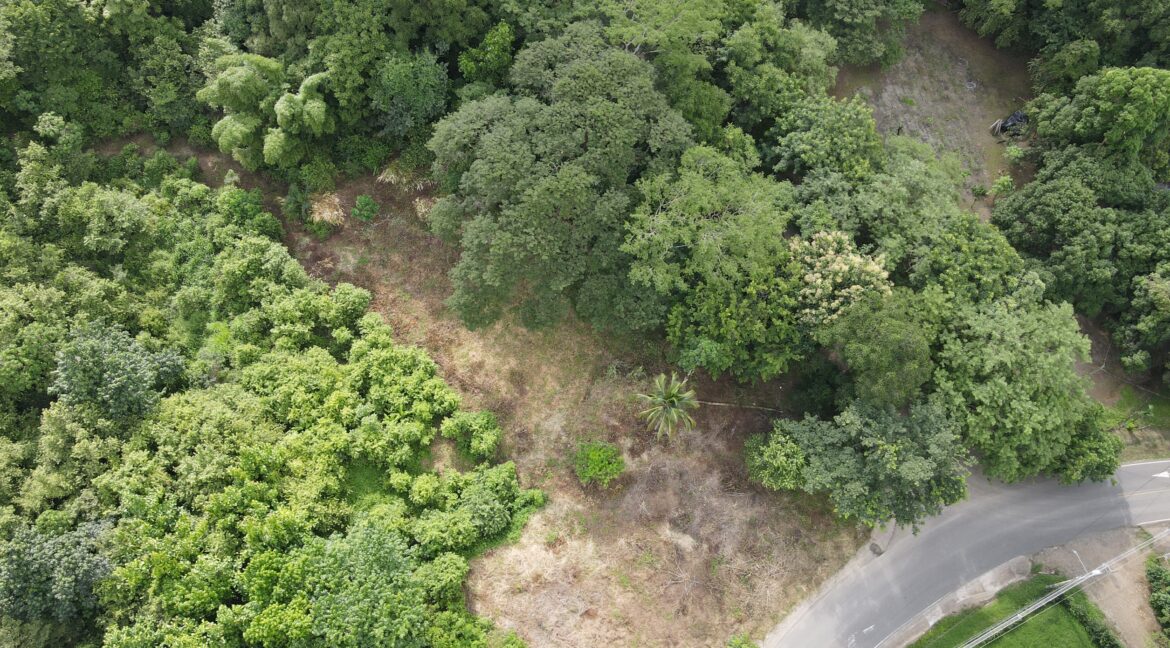 78256631-1244-40ce-80ef-6a9f57114508