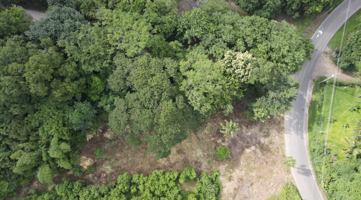 8a287f35-3627-475f-a1fa-8b677444decb