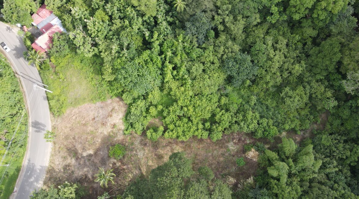 bc6ed86e-6202-48f0-bf38-f7237b50a9d7