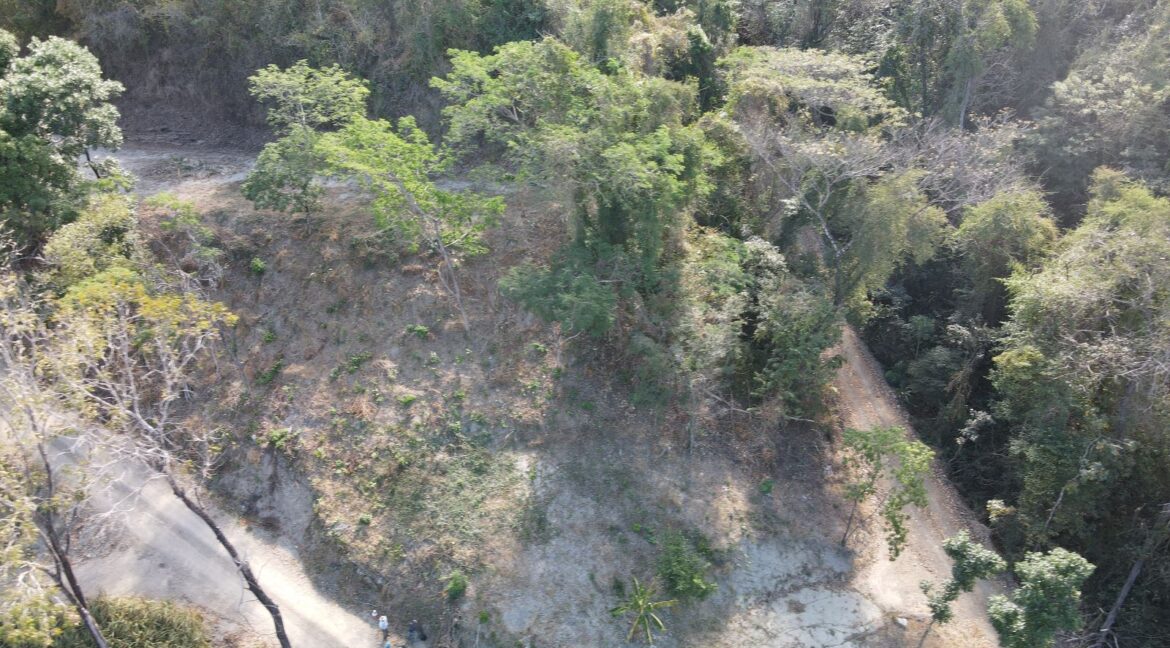 cc2c5387-712b-450a-936c-0a660776a777