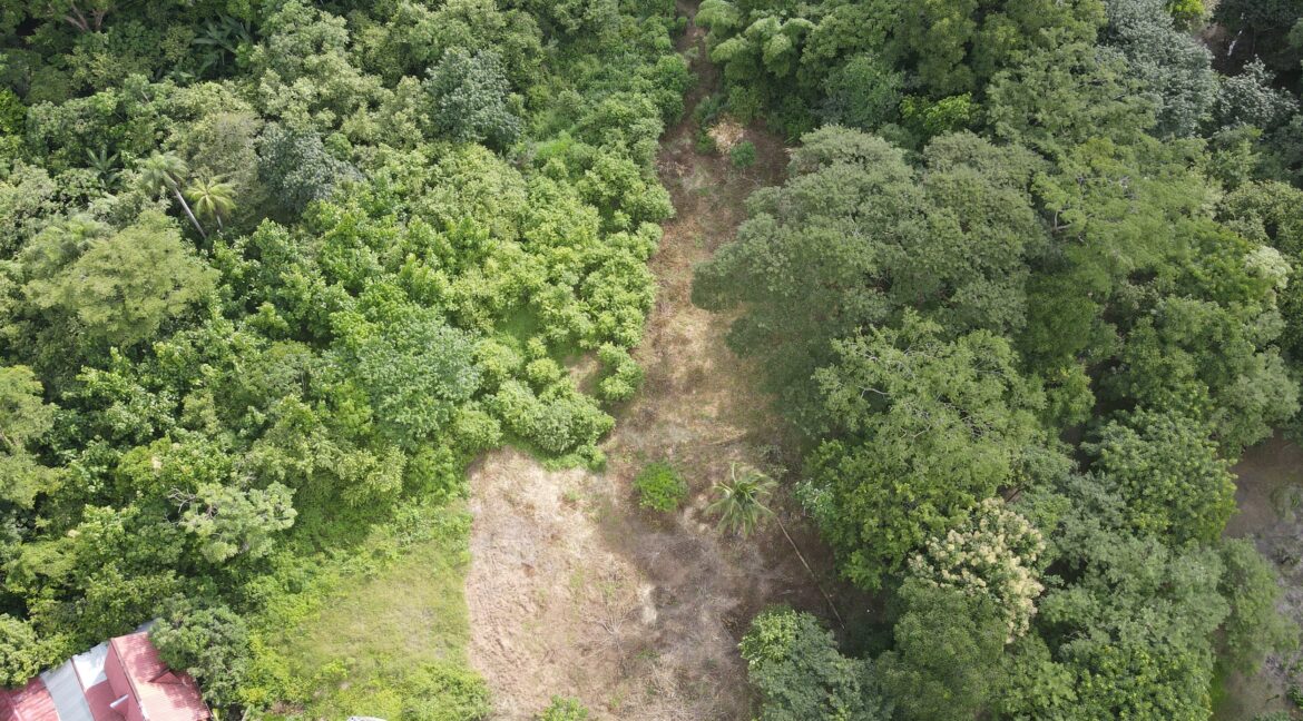 dfc65806-aa09-4cc4-b1df-140fb8597c05