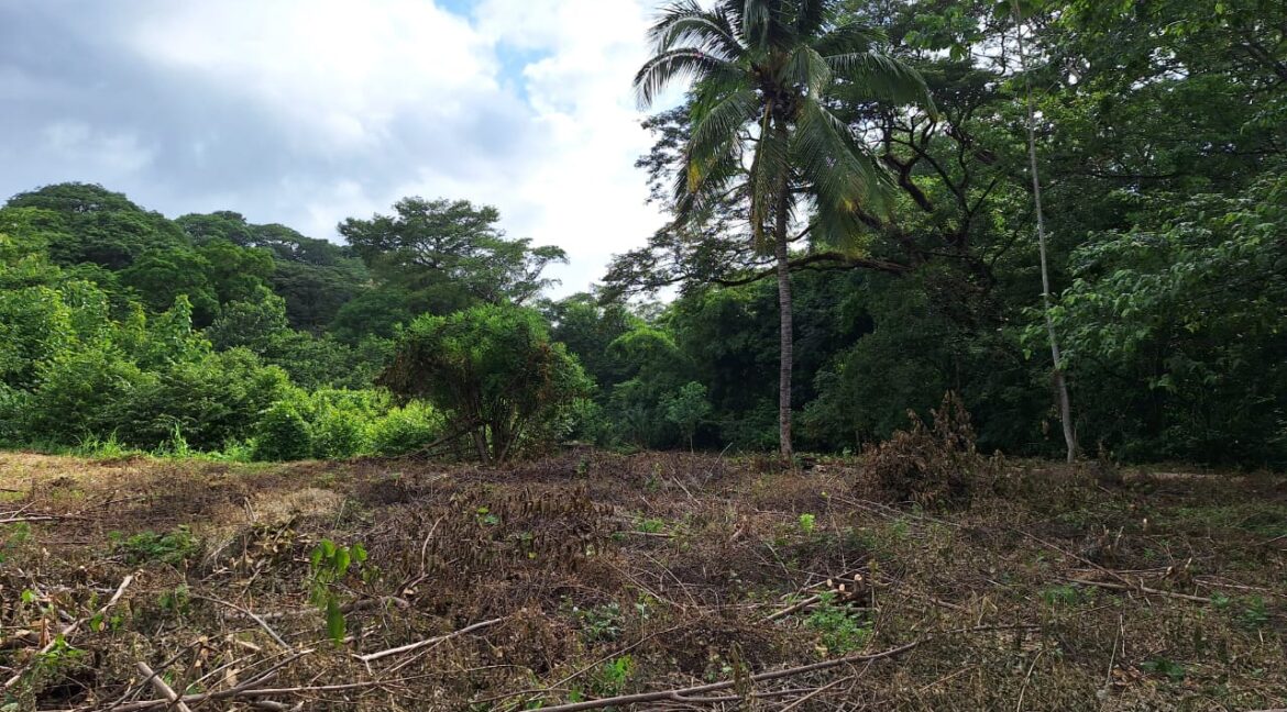 fb4bf802-baa3-49f9-bc57-1e48daf4977c