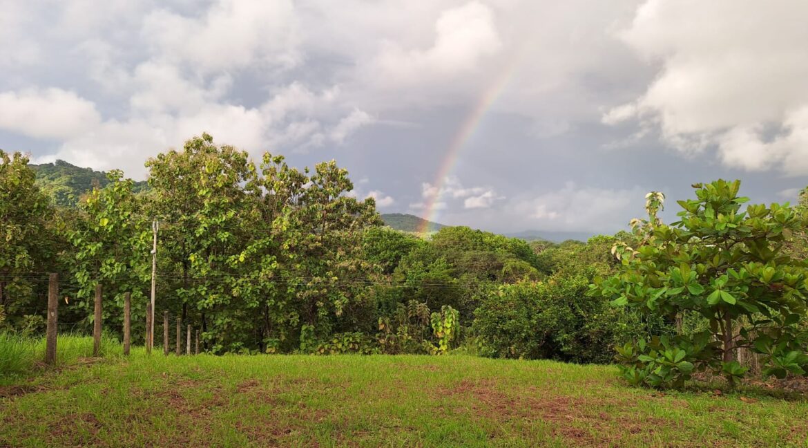 a876fe4f-84db-4e47-8dac-ba8adc706781