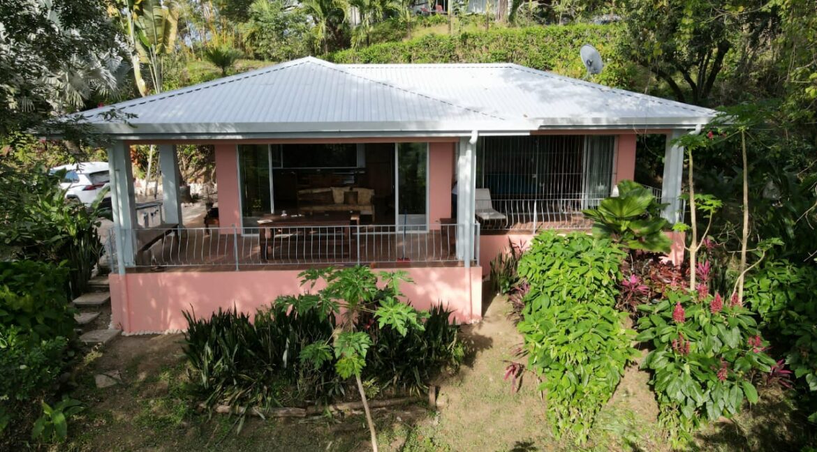 00393106-35a1-46b6-8069-fd2cf0bd98ae