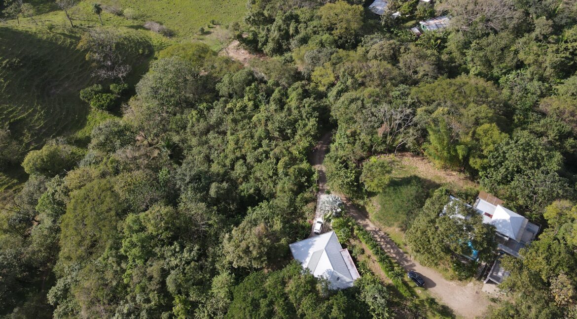 7871ec7c-2498-4ec8-b421-cf1fda9e3e81