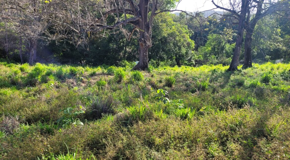 16788f95-ab15-449e-9540-16b5f303f30d