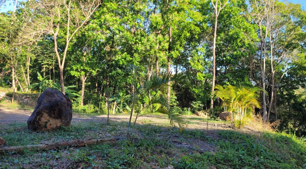 4171e0de-cc1a-4214-a555-35c4642cacdf