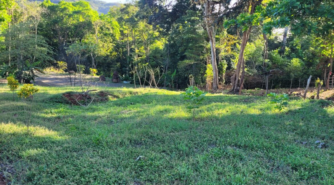 64d3b47e-01cf-4131-a154-70d9173d0313