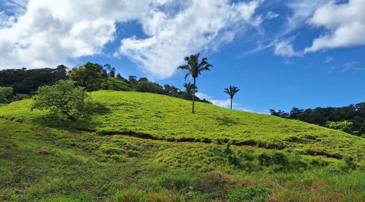 8c9e23d8-1851-4051-97e6-09922a2f6cf9