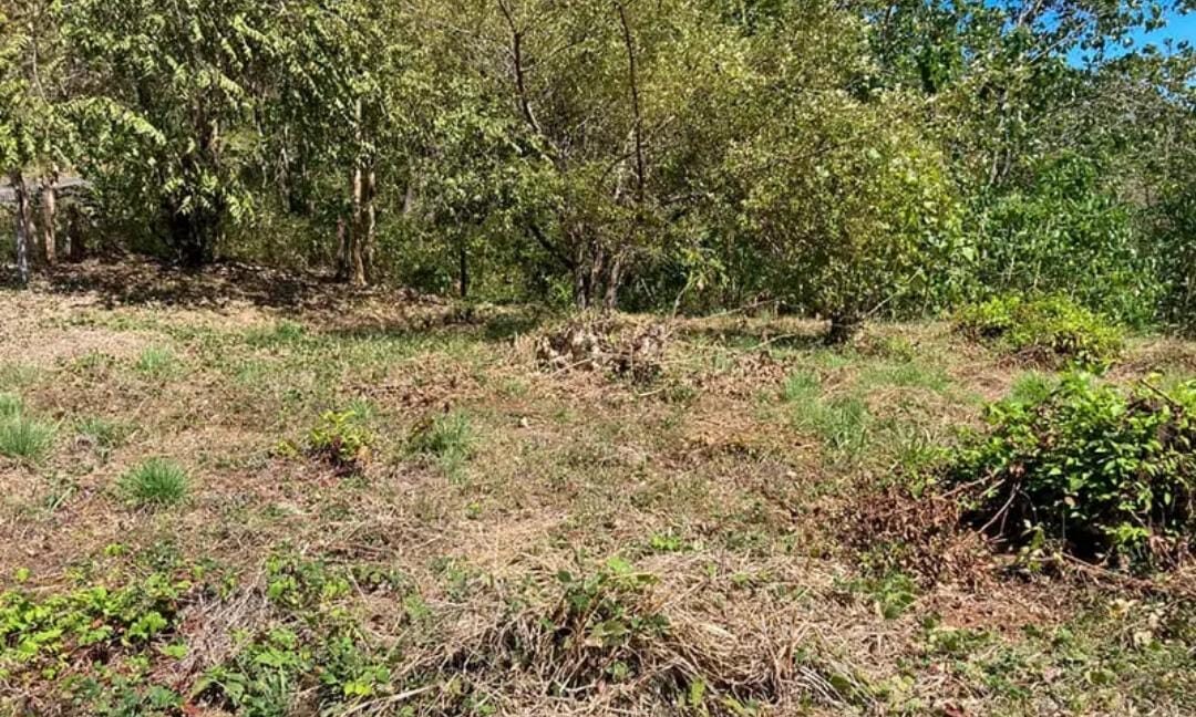 WhatsApp Image 2024-12-03 at 5.28.41 PM