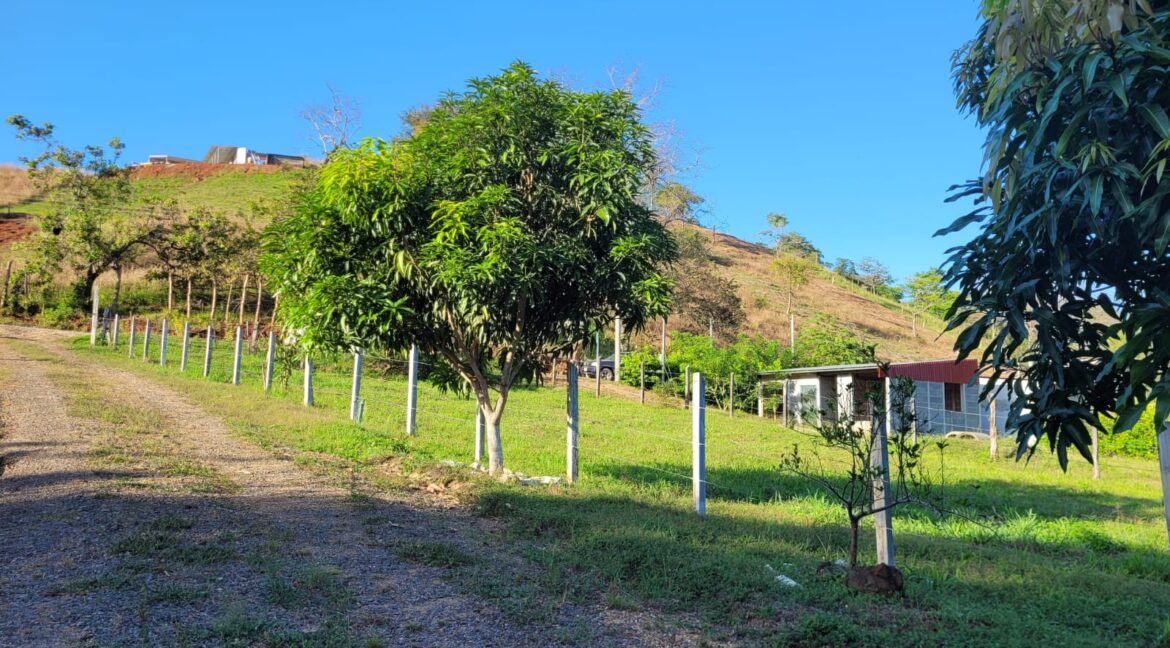 ad1caf62-556b-4300-9742-9af8d10a5867