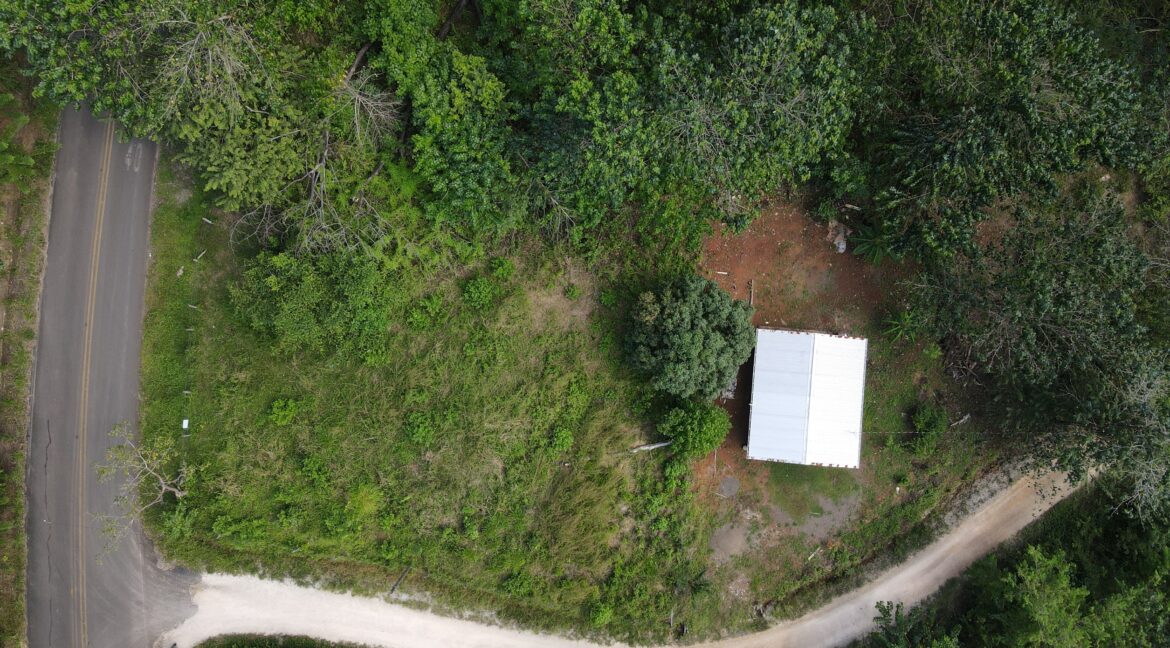 d0b6e8af-5025-4c0f-b7c9-e51696f775cf